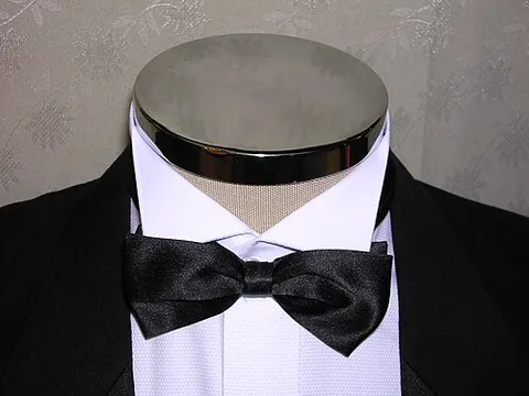 wing collar: a small standing collar with the points pressed to stick out, resembling "wings", used in shirts...
