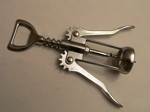 wing corkscrew: a type of corkscrew having two levers on either side of the worm, so that the cork is removed by...