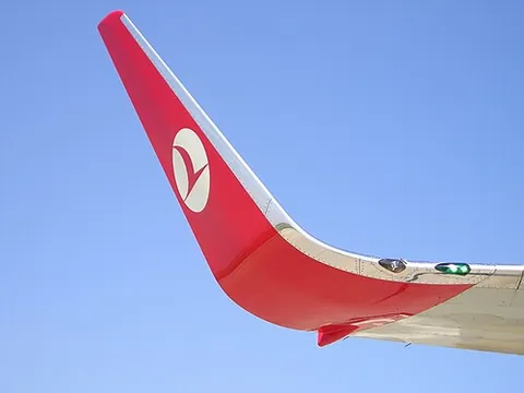 winglet: a little wing