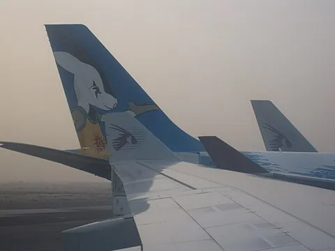 wingtip: the extreme tip of the wing of an aircraft, bird, flying insect, etc