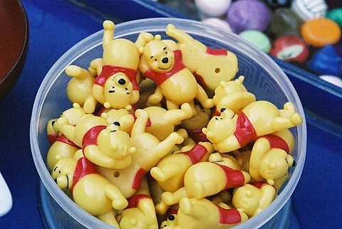winnie the pooh: a shoe