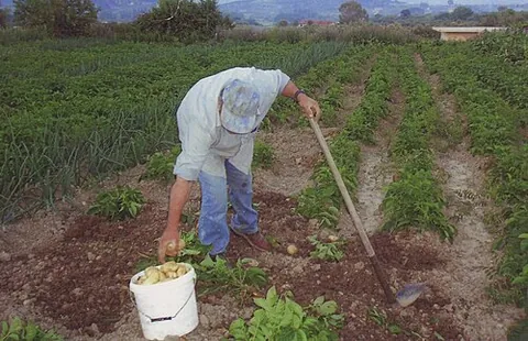 work: labour, occupation, job