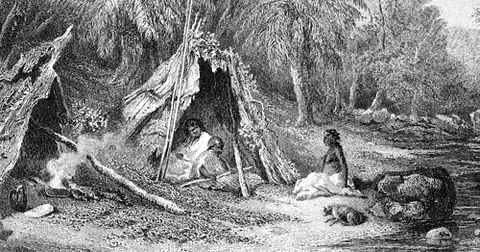 wurley: an Australian indigenous shelter made from small branches with the leaves still attached