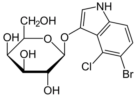 x-gal: 5-bromo-4-chloro-3-indolyl-β-D-galactopyranoside, used to detect β-galactosidase