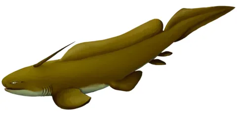 xenacanthiform: any of the order †Xenacanthiformes of extinct shark-like chondrichthyans
