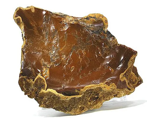 xylopal: a precious stone, petrified wood which has either developed an opalescent sheen or been completely...