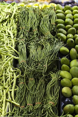yardlong bean: a vigorous climbing annual vine (Vigna unguiculata subsp. sesquipedalis) grown primarily for its...