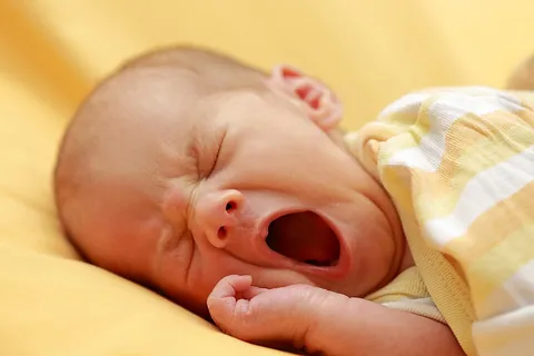 yawn: to open the mouth widely and take a long, rather deep breath, often because one is tired or bored,...