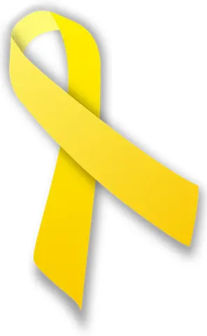 yellow ribbon: a ribbon worn or displayed to indicate the absence of a loved one, and the hope for their return