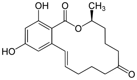 zearalenone: a potent estrogenic metabolite produced by some Fusarium (syn. Gibberella) fungi