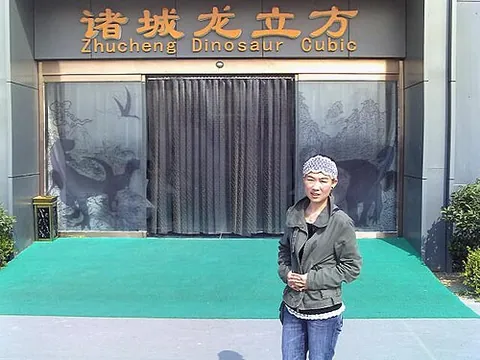 zhucheng: a subdistrict of Xinzhou district, Wuhan, Hubei, China