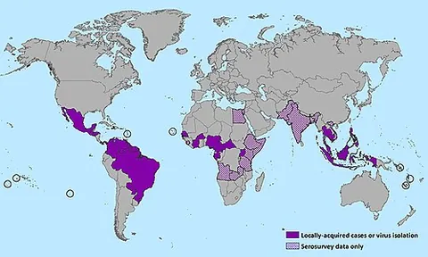 zika disease: a disease of humans, transmitted by mosquitoes, caused by the Zika virus, with symptoms similar to...